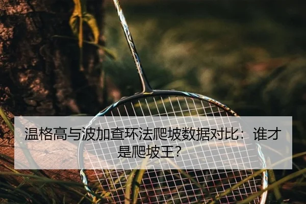 wen-ge-gao-yu-bo-jia-cha-huan-fa-pa-po-shu-ju-dui-bi-shui-cai-shi-pa-po-wang-3-508.jpg
