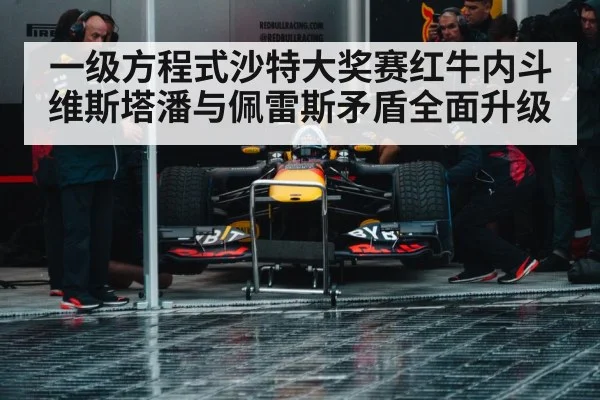 Red Bull racing team